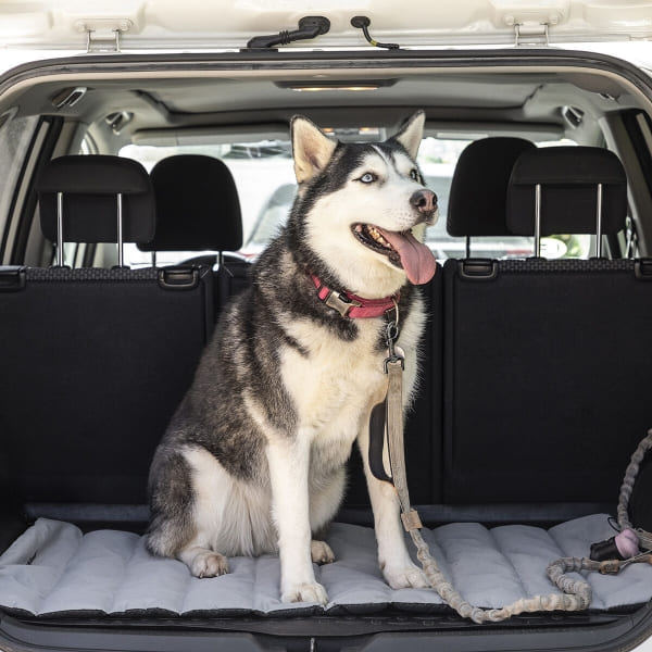 CAMA PORTÁTIL IMPERMEABLE PARA MASCOTAS