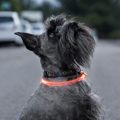 COLLAR LED PARA MASCOTAS