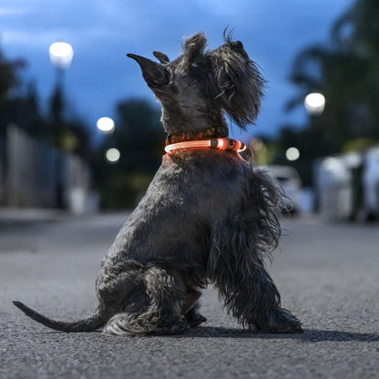 COLLAR LED PARA MASCOTAS